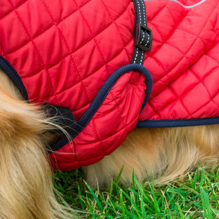 Adjustable Warm Pet Cotton Jacket: The Perfect Winter Wear for Your Furry Friends