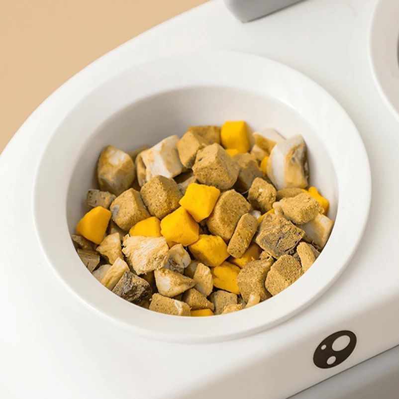 The Essential Pet Double Bowl Duck Design: A Perfect Feeding Solution