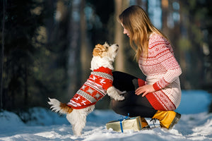 Stylish Pet Clothes For All Season Comfort
